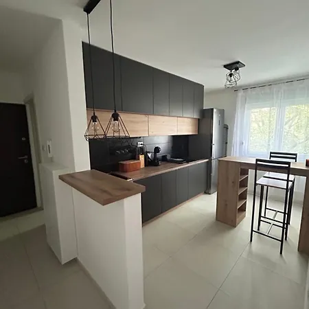 Apartament Lux Stan Karaburma
